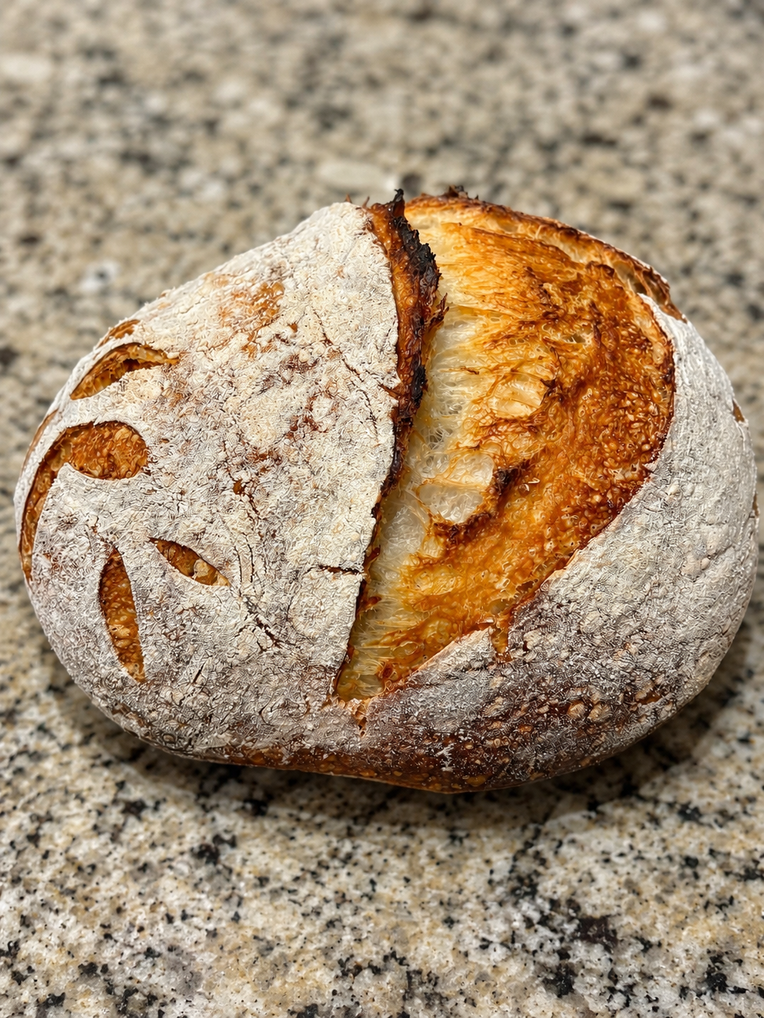 Sourdough Breads