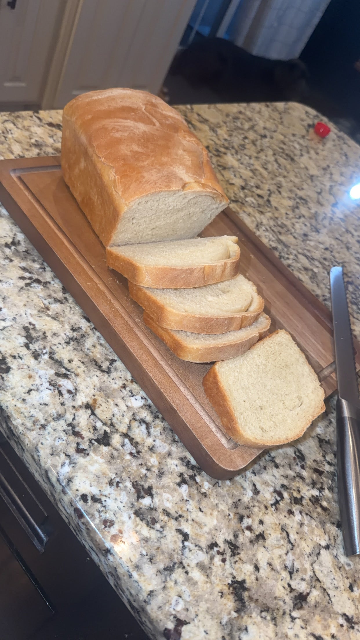 Homemade Yeast Sandwhich Bread