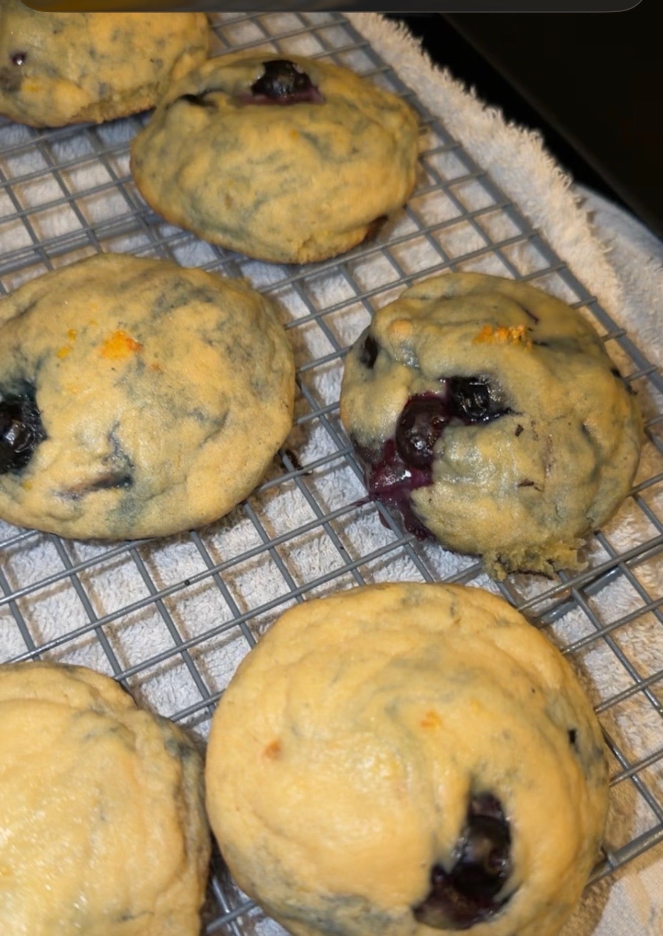 Lemon Blueberry 1/2 Dozen